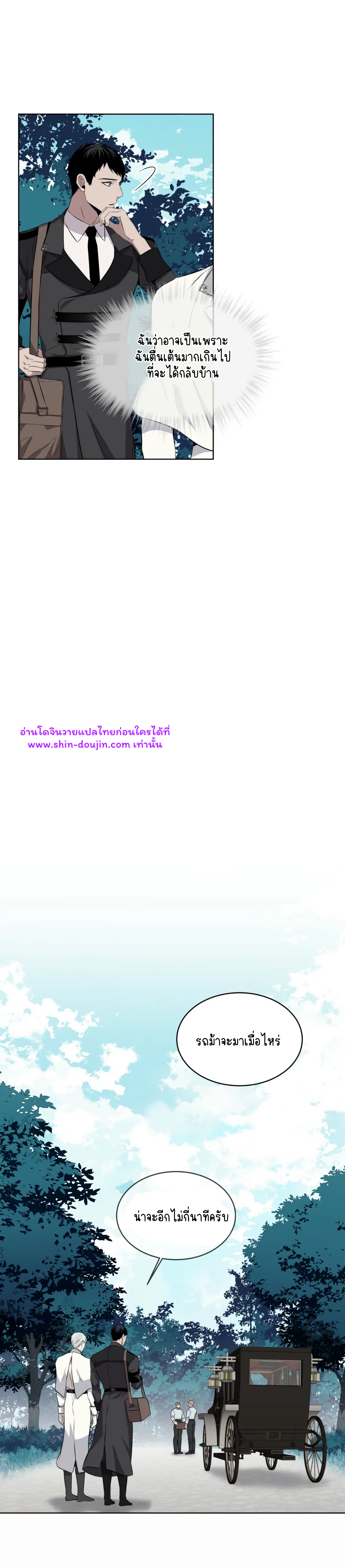 Forest Sea EP 12